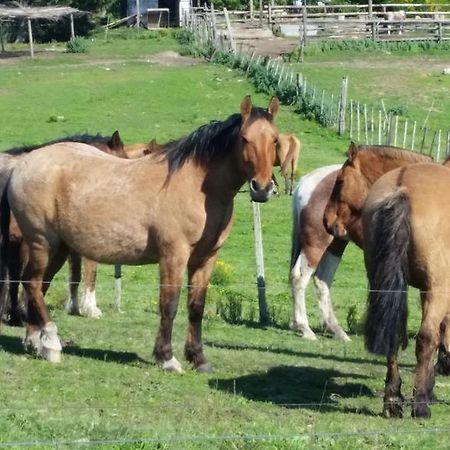 Estancia Turistica Don Joaquin Scavino Екстер'єр фото